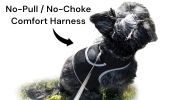 Get Realtime SMS/Live Tracking Data w/ Pet Tracker GPS Dog Collar Tracker Size:L